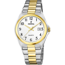 Мужские часы Festina F20554/1