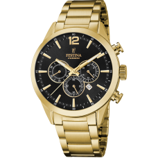 Мужские часы Festina F20633/3