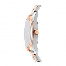 Мужские часы DKNY Modernist Classics DK1G069M0065