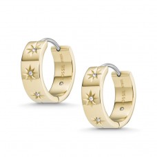 Женские серьги Fossil JF03870710