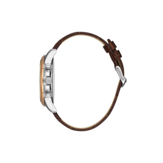 Мужские часы Bigotti Raffinato BG.1.10491-5 - фото 2