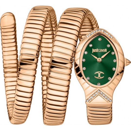 Женские часы Just Cavalli JC1L248M0045 - фото 1