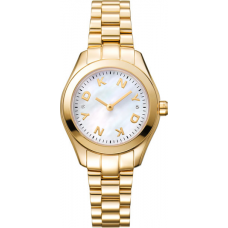 Женские часы DKNY Astoria Logo DK1L033M0065