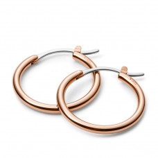 Женские серьги Fossil JOF00003791
