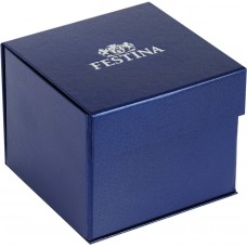 Мужские часы Festina F20425/7