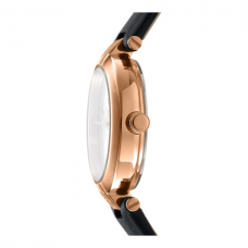 Женские часы DKNY Essential Mini DK1L043L0035