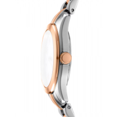 Женские часы DKNY Astoria Logo DK1L033M0095