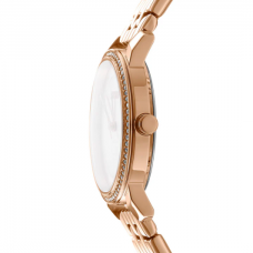 Женские часы DKNY Astoria Glitz DK1L065M0055