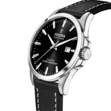 Мужские часы Festina F20025/4