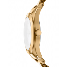 Женские часы DKNY Astoria Midi DK1L074M0025