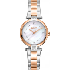 Женские часы DKNY Essential Mini DK1L043M0095