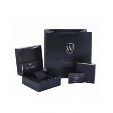 Мужские часы Wainer Masters Edition WA.25705-B