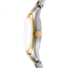 Женские часы DKNY Astoria Logo DK1L033M0085