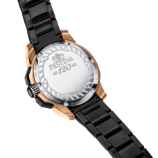 Мужские часы Festina F20645/1
