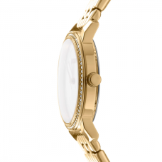 Женские часы DKNY Astoria Glitz DK1L065M0045
