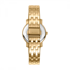 Женские часы DKNY Astoria Glitz DK1L065M0045
