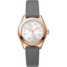 Женские часы DKNY Astoria Logo DK1L033L0035
