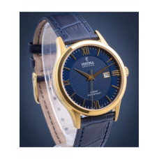Мужские часы Festina F20010/3