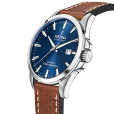 Мужские часы Festina F20025/3