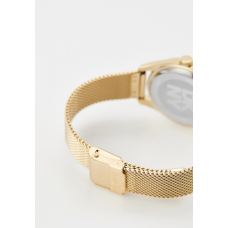 Женские часы DKNY Astoria Logo DK1L032M0025