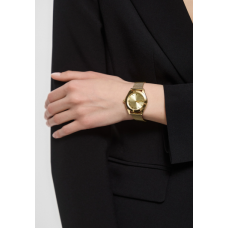 Женские часы DKNY Astoria Logo DK1L032M0025