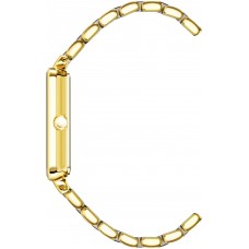 Женские наручные часы Anne Klein Ceramic Diamond 3668GNGB