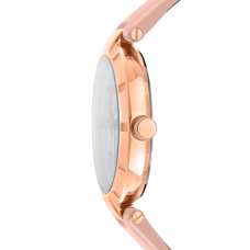 Женские часы DKNY Essential Logo DK1L041L0035