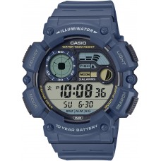 Мужские часы Casio Casio Collection WS-1500H-2A