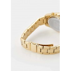 Мужские часы DKNY Central Park Chrono DK1G049M0065