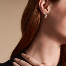 Женские серьги Fossil JF04666040