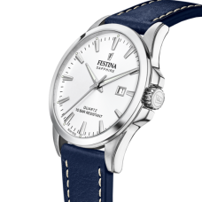 Мужские часы Festina F20025/2