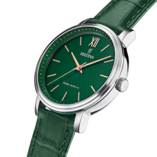 Мужские часы Festina F20660/5