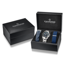 Мужские часы Candino Field Watch C4785/2
