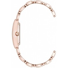 Женские часы Anne Klein 5168RGRG