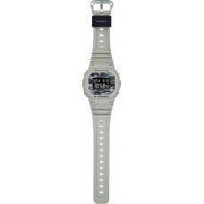Мужские часы Casio DW-5600CA-8