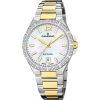 Женские часы Candino Lady Elegance C4761/A