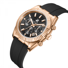 Мужские часы Beverly Hills Polo Club QUARTZ Gents BP3836X.461