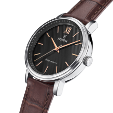 Мужские часы Festina F20660/6
