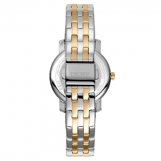 Женские часы DKNY Astoria Glitz DK1L065M0065