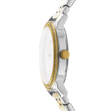 Женские часы DKNY Astoria Glitz DK1L065M0065