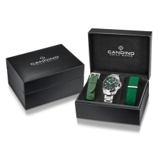 Мужские часы Candino Field Watch C4785/3