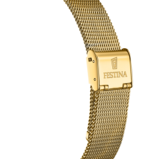 Мужские часы Festina F20022/2