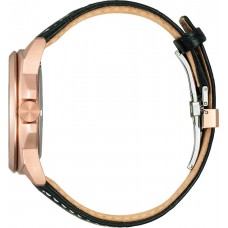 Мужские часы Citizen Endicott AW1723-02E