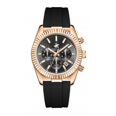 Мужские часы Beverly Hills Polo Club QUARTZ Gents BP3836X.461