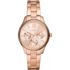 Женские часы Fossil Rye BQ3691