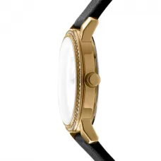 Женские часы DKNY Soho Logo DK1L035L0025