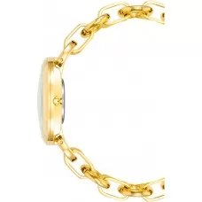 Женские наручные часы Anne Klein Metals 4092WTGB