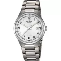 Мужские часы Candino Titanium 3H C4605/1