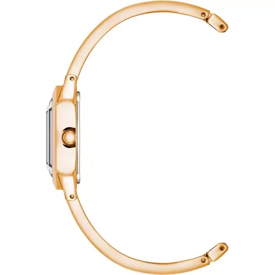 Женские наручные часы Anne Klein Crystal Metals 4042RGBH - фото 2