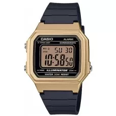 Наручные часы Casio Youth W-217HM-9A
